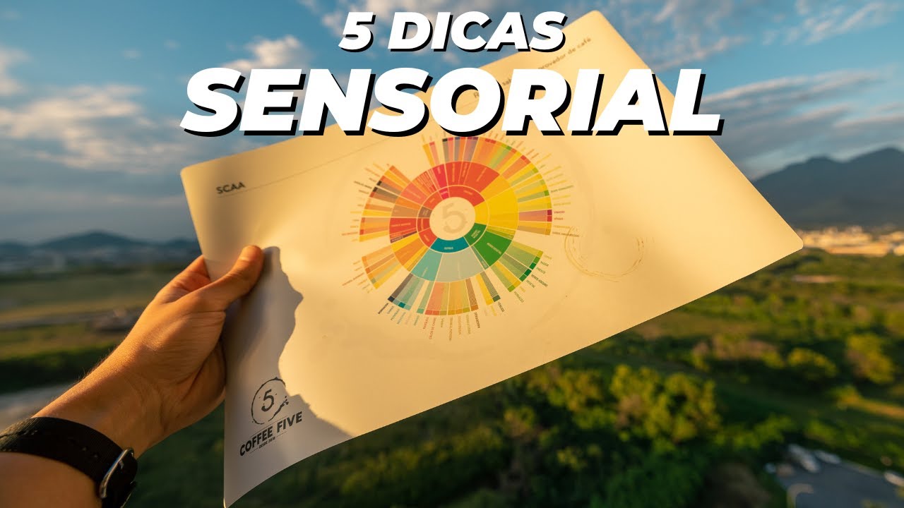 5 dicas para identificar as notas do Café | Não Sou Barista
