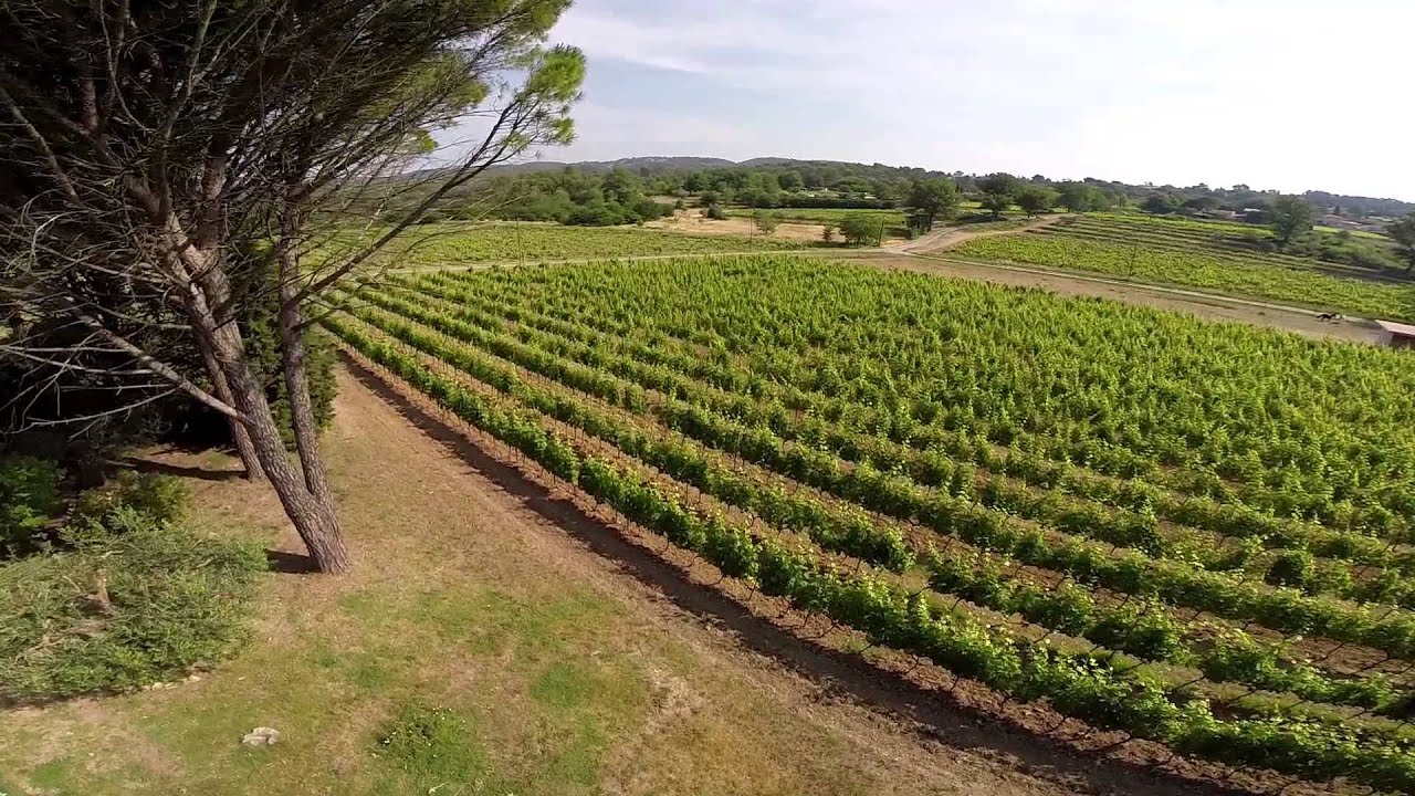 Domaine viticole &agrave; vendre Var