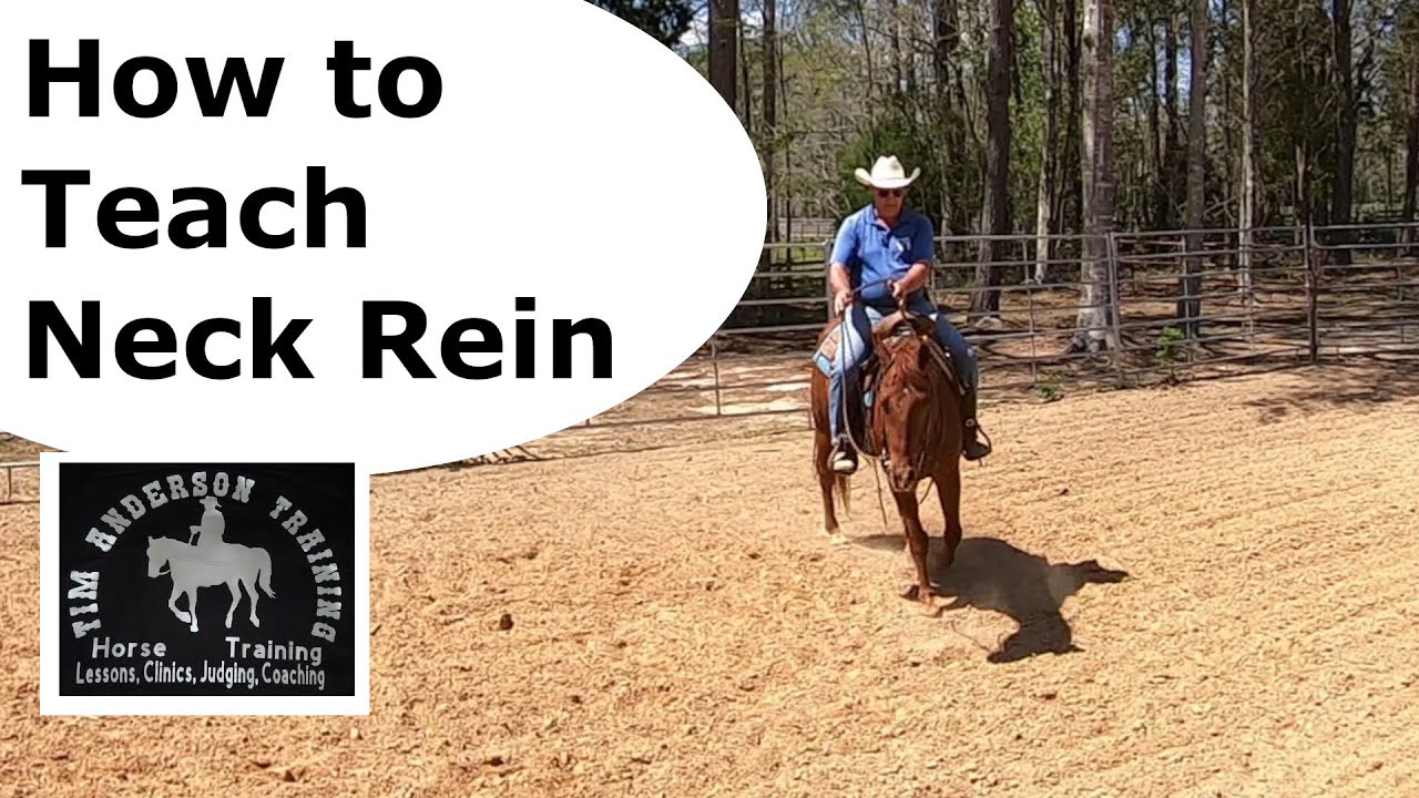 Essential Tips for Teaching Your Horse to Neck Rein Successfully