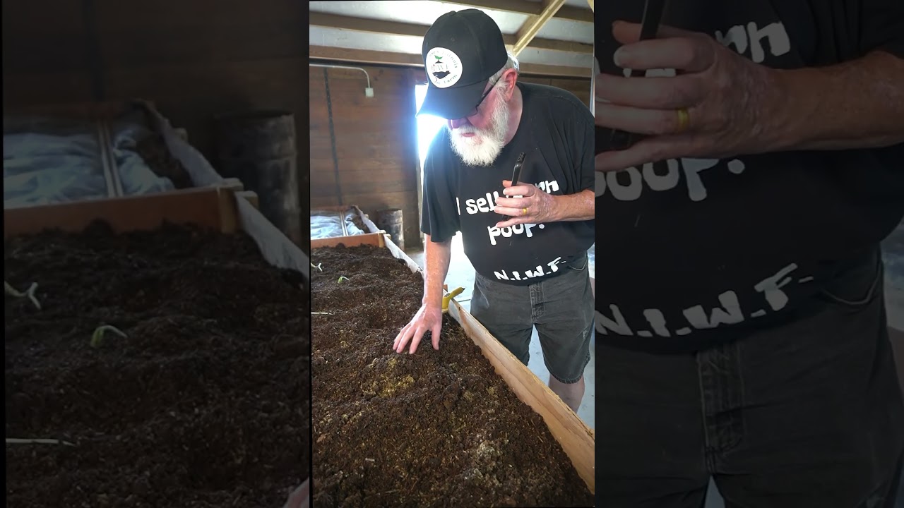 Touring the worm farm part 2 #worms #tour