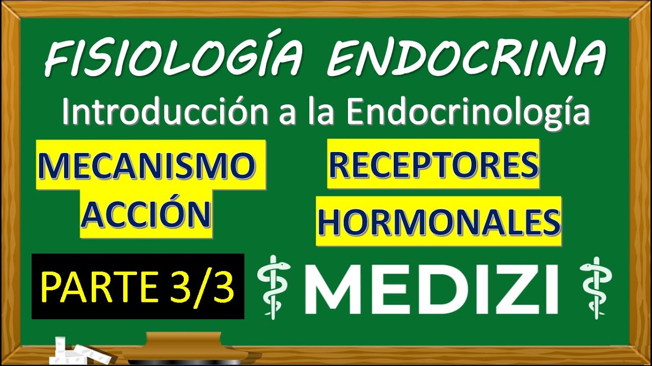 Fisiolog&iacute;a Endocrina - INTRO (RECEPTORES HORMONALES - MECANISMO ACCI&Oacute;N) PARTE 3/3 (IG:@doctor.paiva)