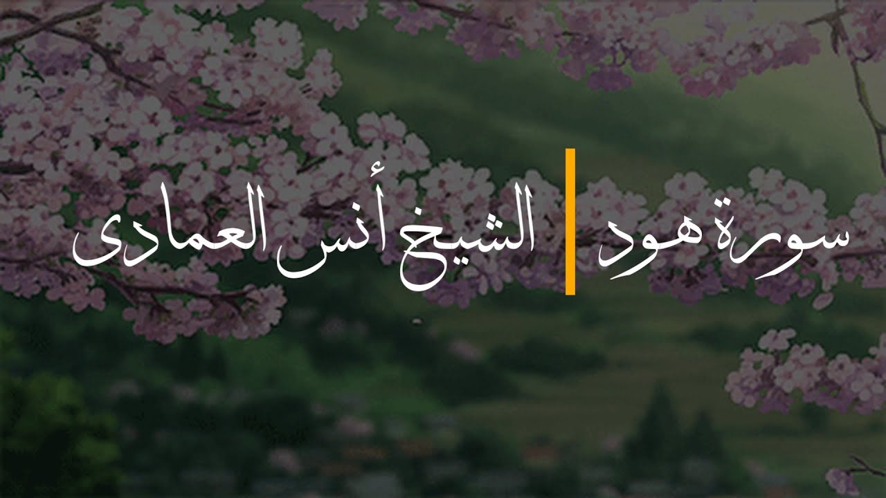 Surah Hud (Ayah 32-End) - Sh. Anas Al Emadi | سورة هود - الشيخ أنس العمادي