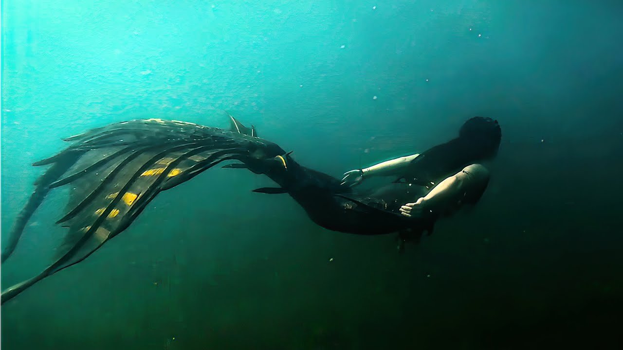 DARK MERMAID IN THE SEAWEED (a slightly eerie video of Mermaid Shadow underwater) ft. bronze bells!