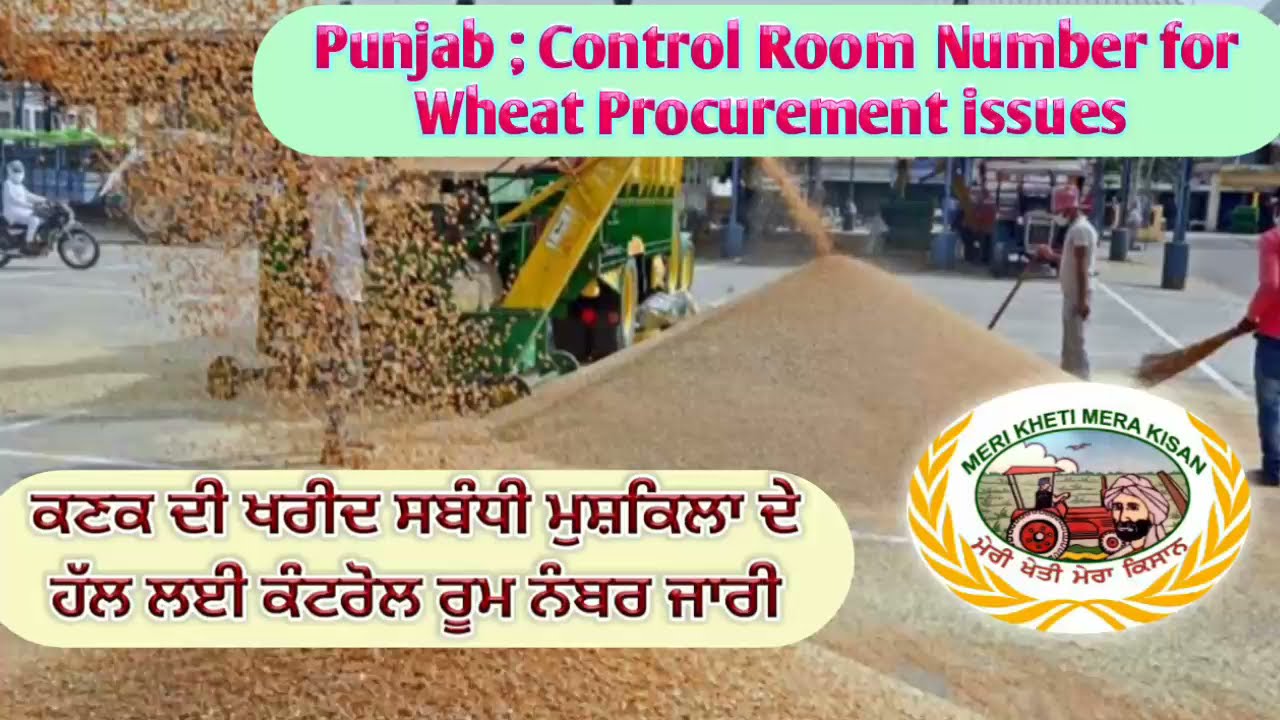 Punjab govt. control room number for procurement issues (ਕਣਕ ਖਰੀਦ ਸਬੰਧੀ ਮੁਸ਼ਕਿਲਾ ਲਈ ਕੰਟਰੋਲ ਰੂਮ ਨੰਬਰ)