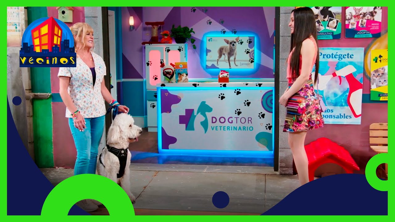 Vecinos, 2/4: El perro de Paul Stanley | C3 T13 | Distrito Comedia