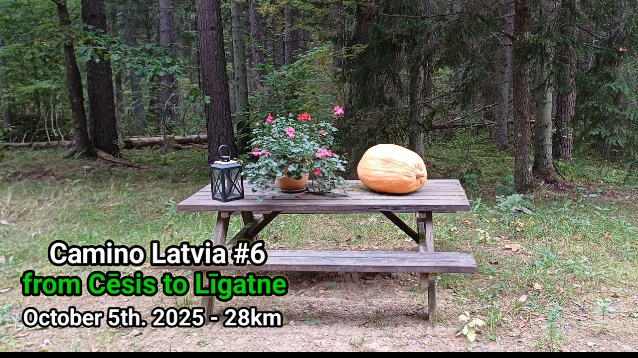 Camino Latvia #6 ~ from Cēsis to Līgatne