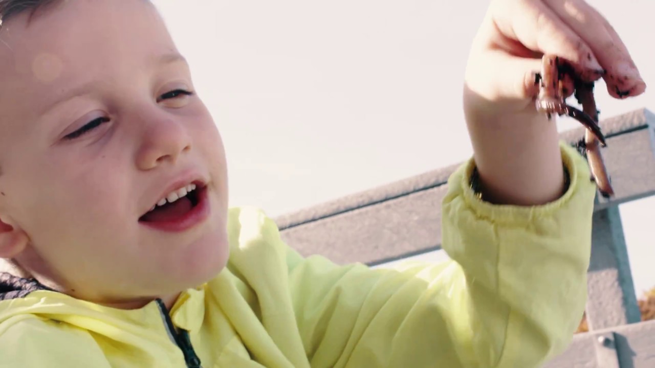 Salsa Cycles Presents: Hello, My Name Is Waylon