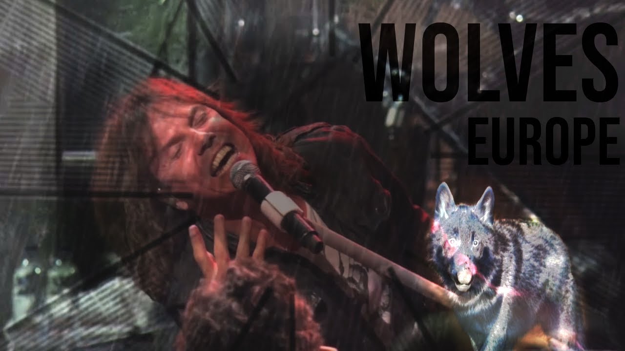 EUROPE - Wolves UNOFFICIAL VIDEO