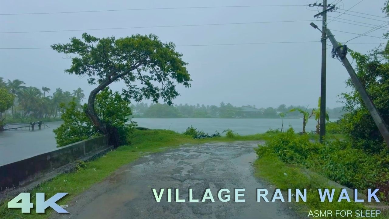 Windy Rain Walk in a Beautiful Backwater Village | Wind, Rain & Nature Sounds for Sleep and Focus