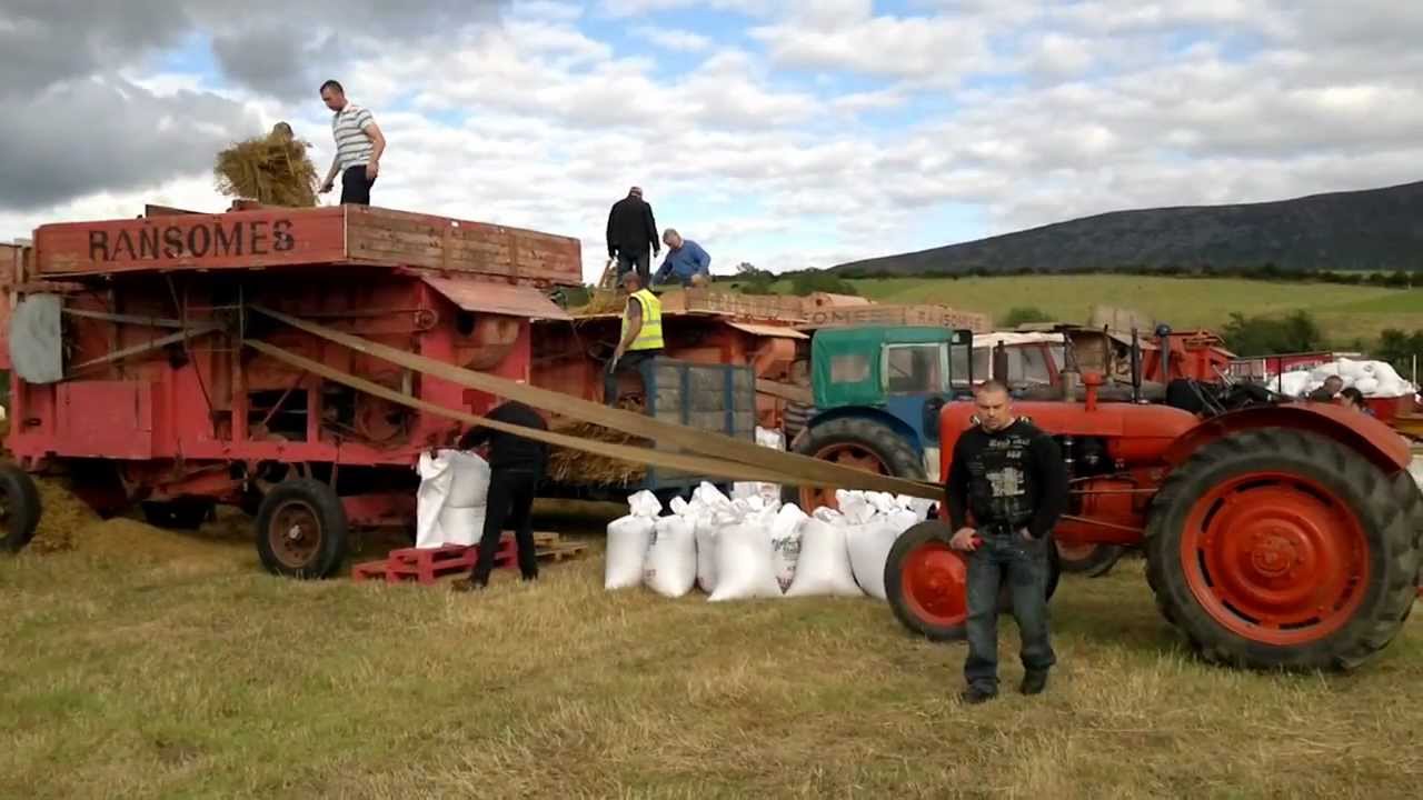 Vintage tractor (ballymurphy club) Reaper binder at work harvesting Oats 30th August 2011 Ireland p5