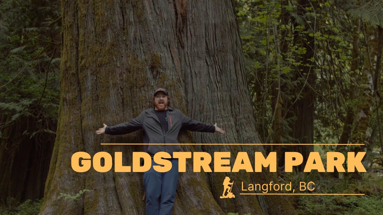 WHY you should VISIT Goldstream park, Langford BC