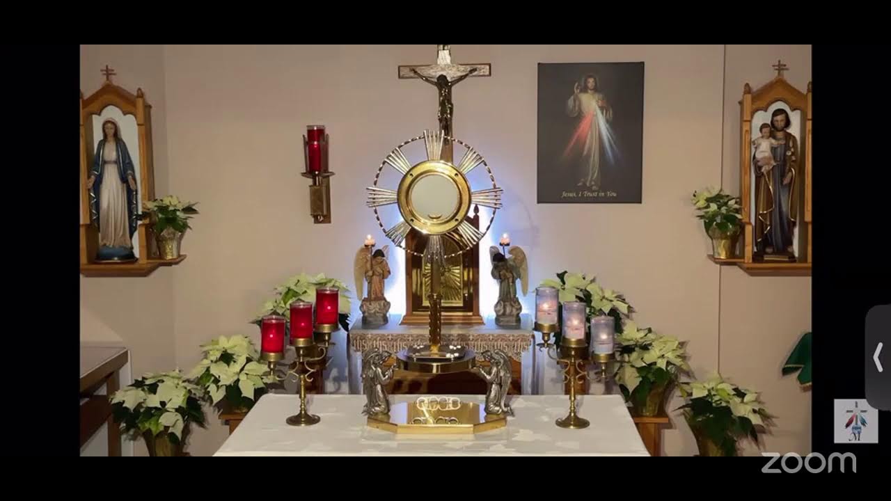 Adoration moment ( chaplet and reflection ) on divine mercy hour
