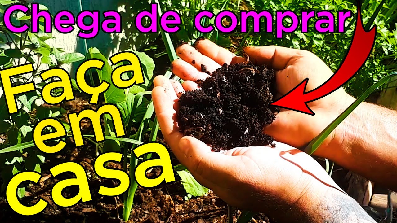 Substrato O que &eacute; e Como Utilizar nas Plantas