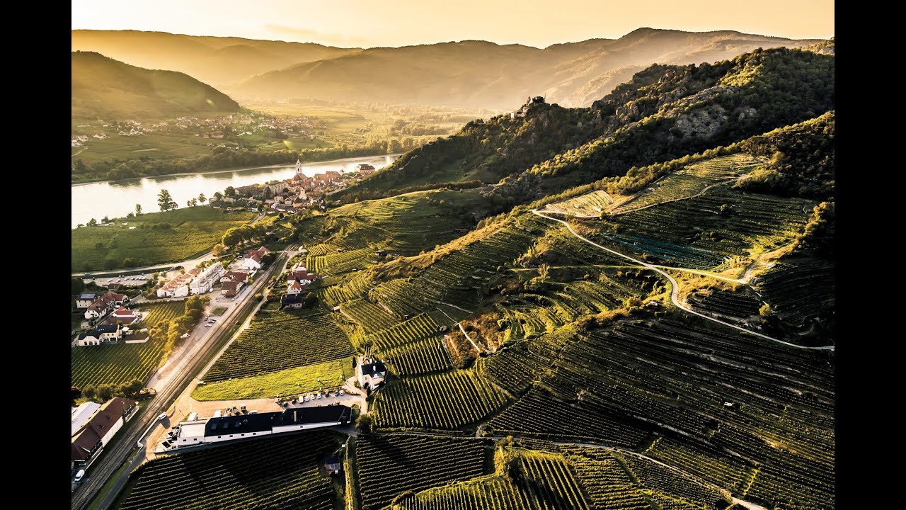 Sea Gate Wines Presents: Intro To Austrian Wine   HD 720p