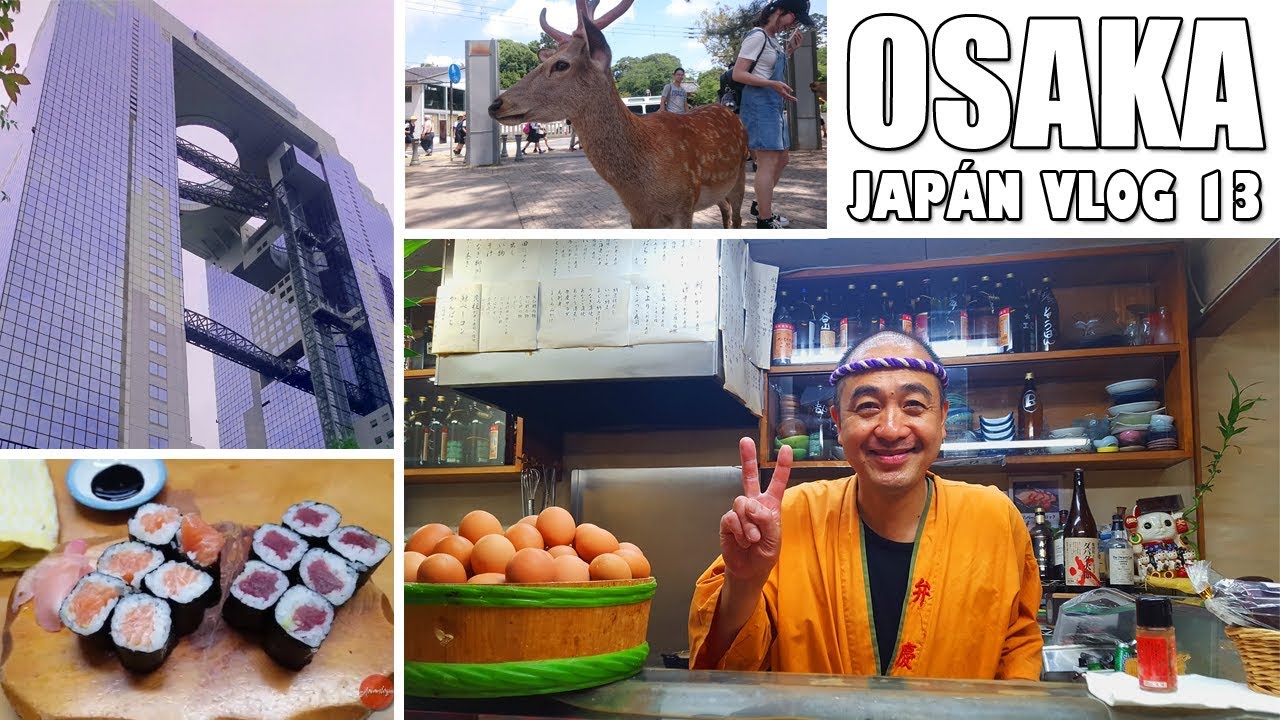 Egy igazi sushi bár és őzikékkel szabadon | OSAKA | Japán Vlog 13