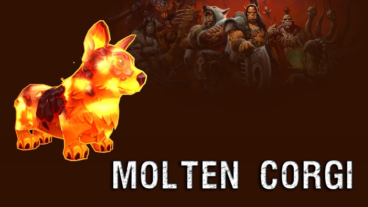 Molten Corgi - Warlords of Draenor