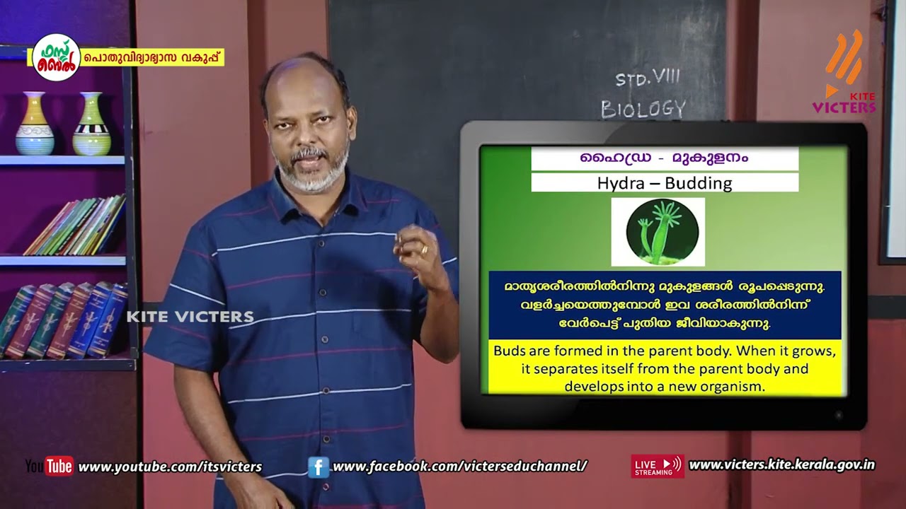 KITE VICTERS STD 08 Biology Class 23 (First Bell-ഫസ്റ്റ് ബെല്‍)