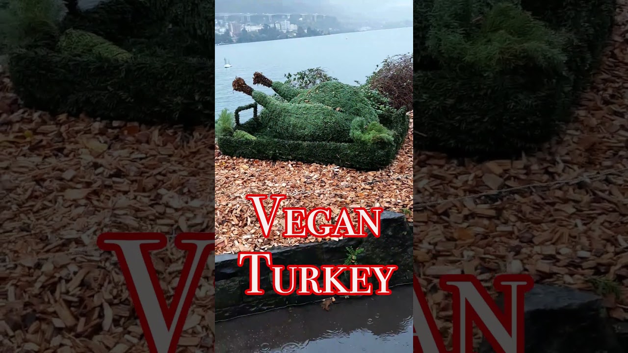 #Vegan