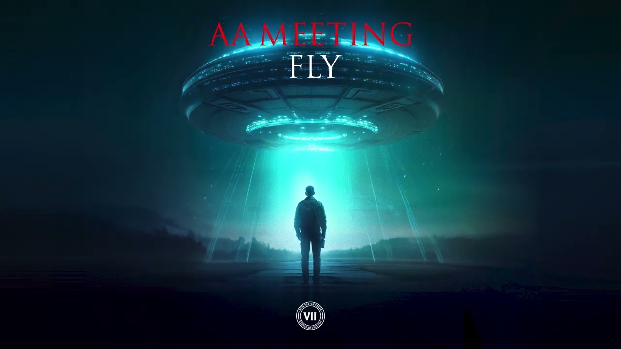 AA Meeting - Fly