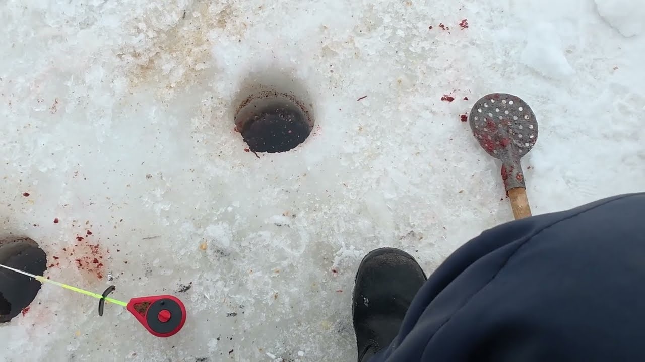 плотвичка 14 02 2026