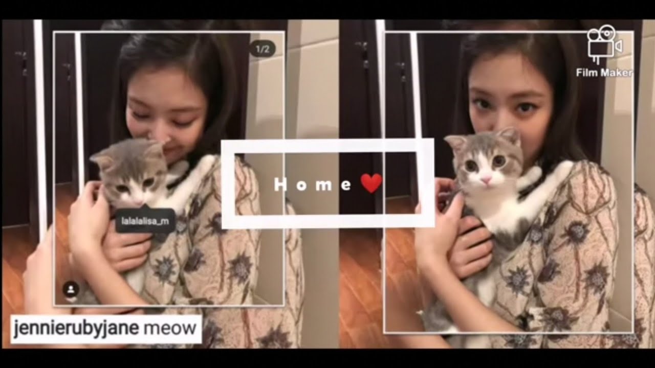 Reason why we ship Jenlisa so hard, they are already living in
