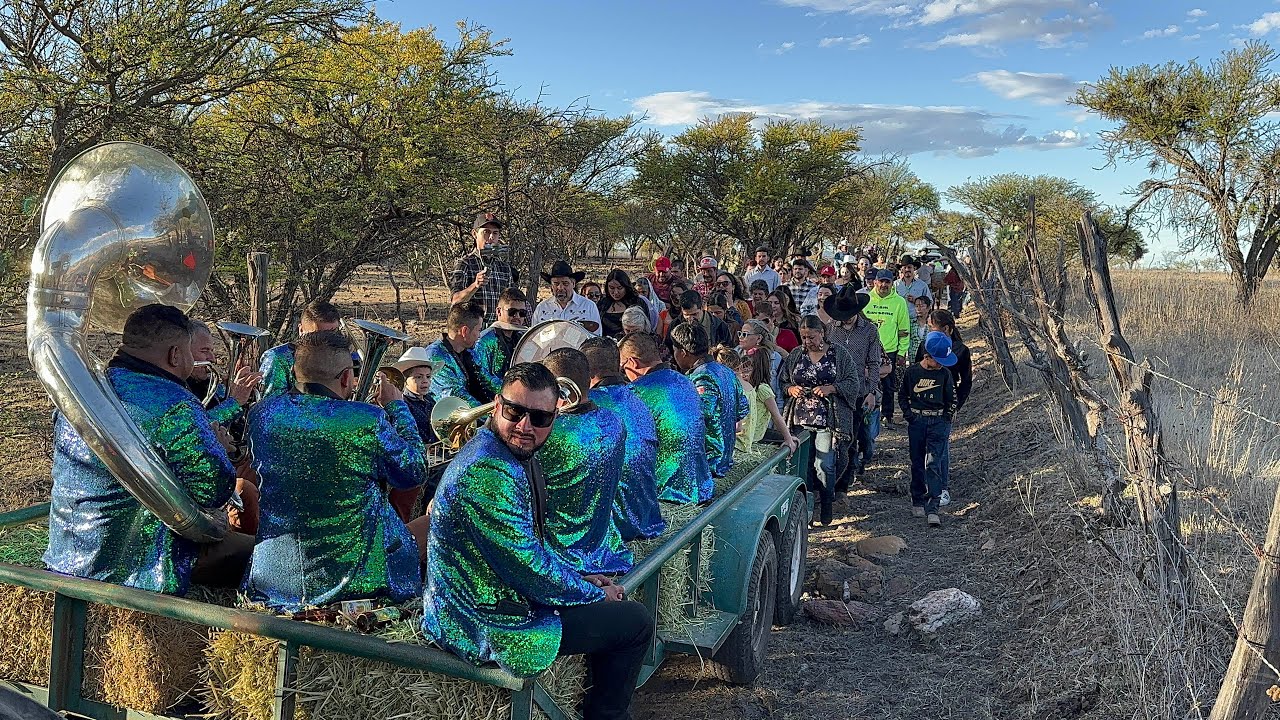 La negris regreso  ala pila de las oscuras   después de 37 años