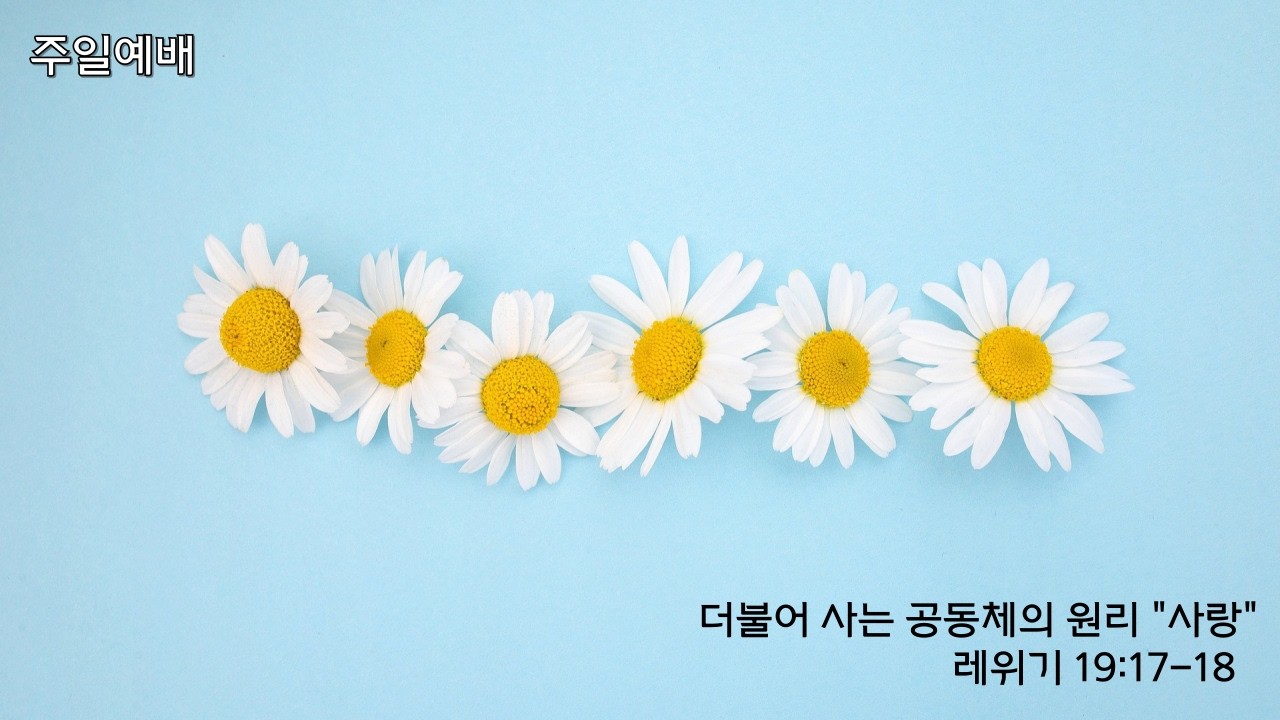 더불어 사는 공동체의 원리 