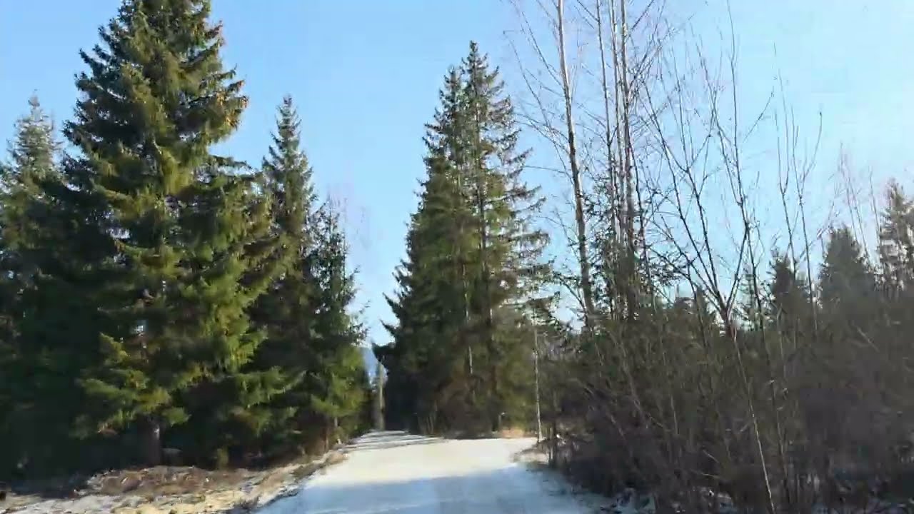 Neagra Șarului-Coverca Suceava, Bucovina 