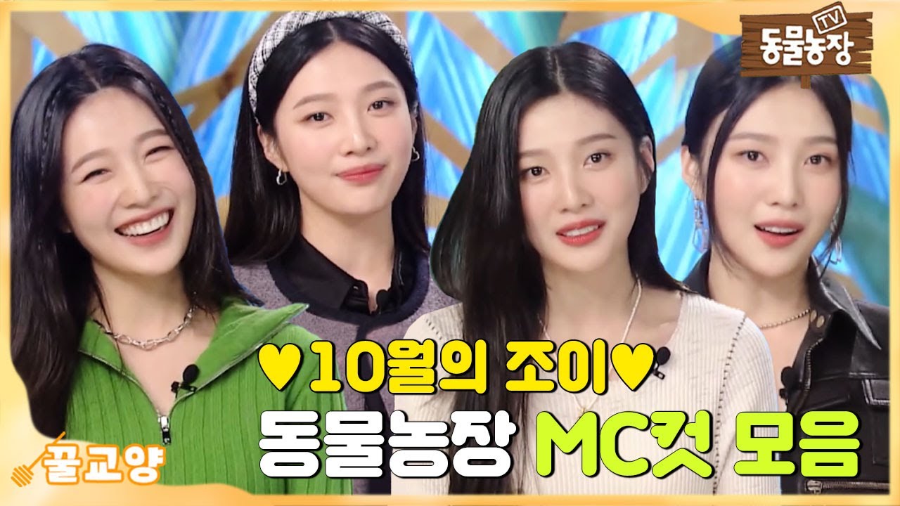 [꿀교양] 동물농장에 찾아온 행운🍀10월의 조이 MC컷 모음집 I TV동물농장 (Animal Farm) | SBS Story
