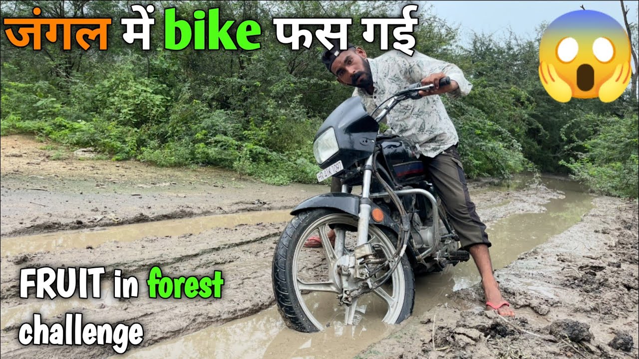 Survival In The Forest -  Eating Forest Fruit || Off Roading In FOREST 😱😱
