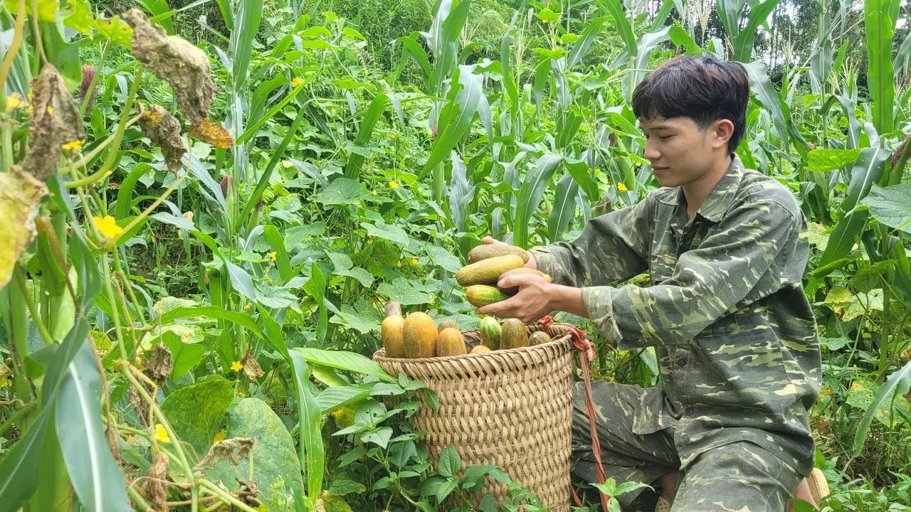 The young man harvests vegetables and corn to sell. Skills in setting traps for wild chickens.