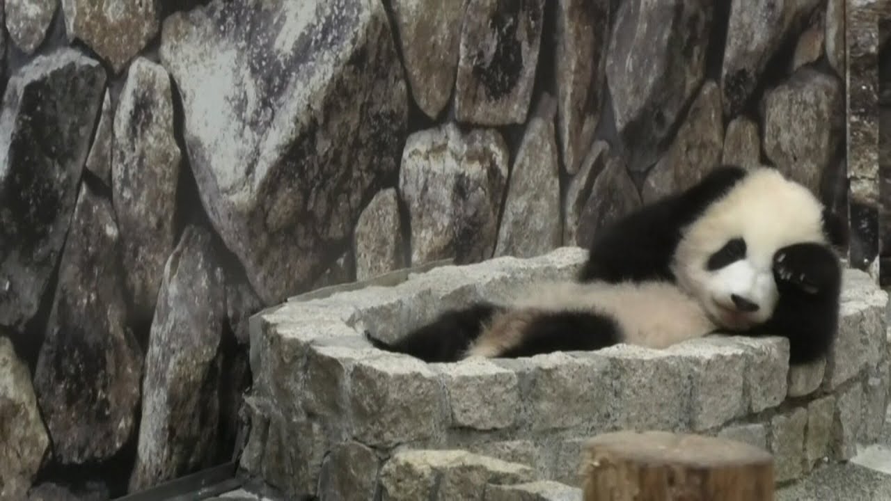 彩浜　さいちゃんここがしゅき♡
