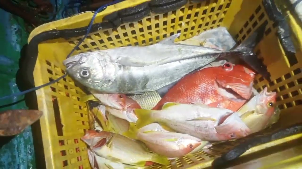 Rawai malam lebih gacor 