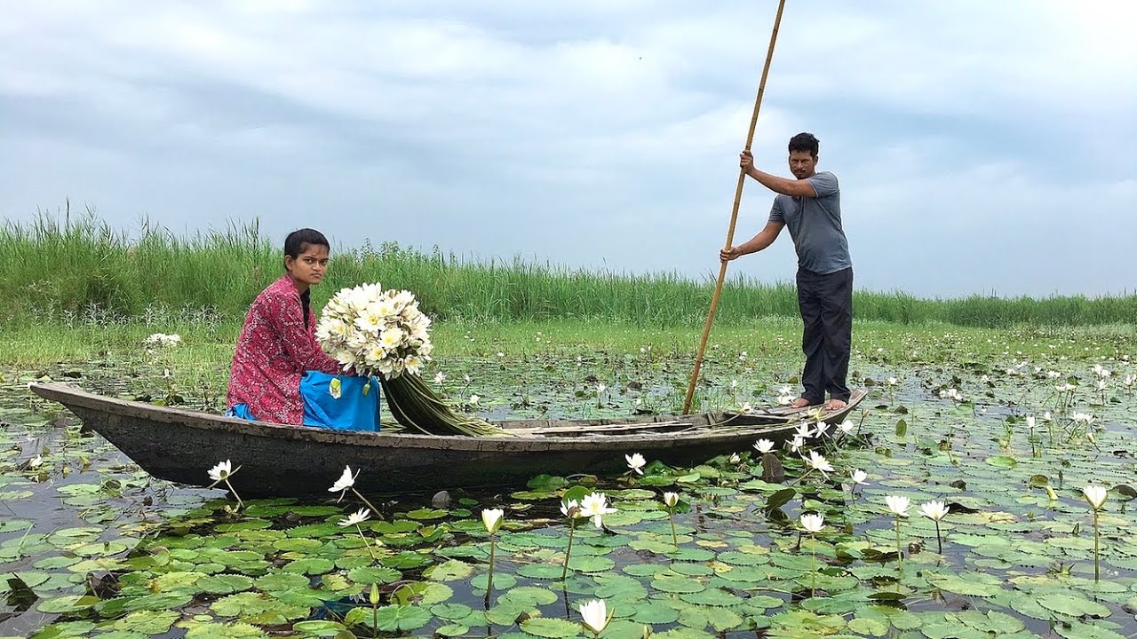 Water Lily recipe | जल कमल के तने से बनाये स्वादिष्ट सब्ज़ी | Water Lily Sabji | Shapla Sabji
