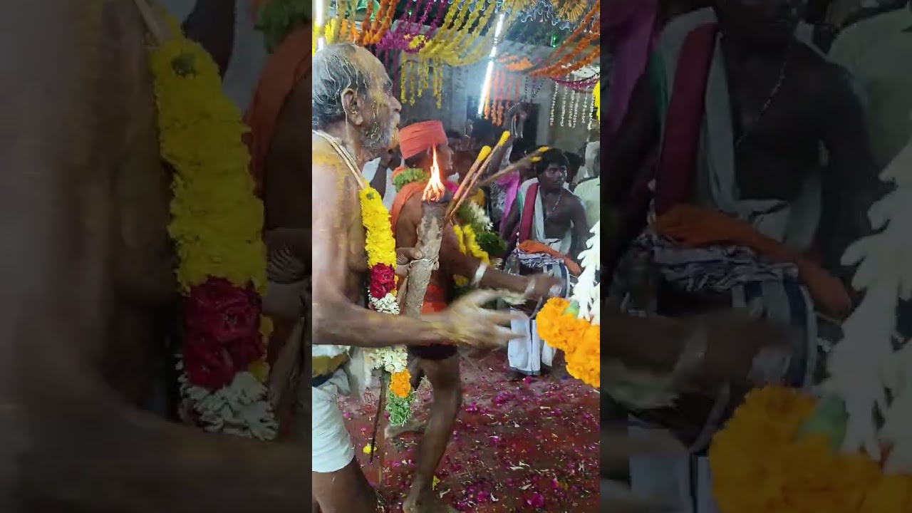 பெருமாள் சுவாமி அம்மன் சுவாமிக்கு ஆசி வழங்கி வழி அனுப்பும் காட்சி 2025🥰🙏🏻🙇🏻‍♂️.வாலசுப்பிரமணியபுரம்💙💚