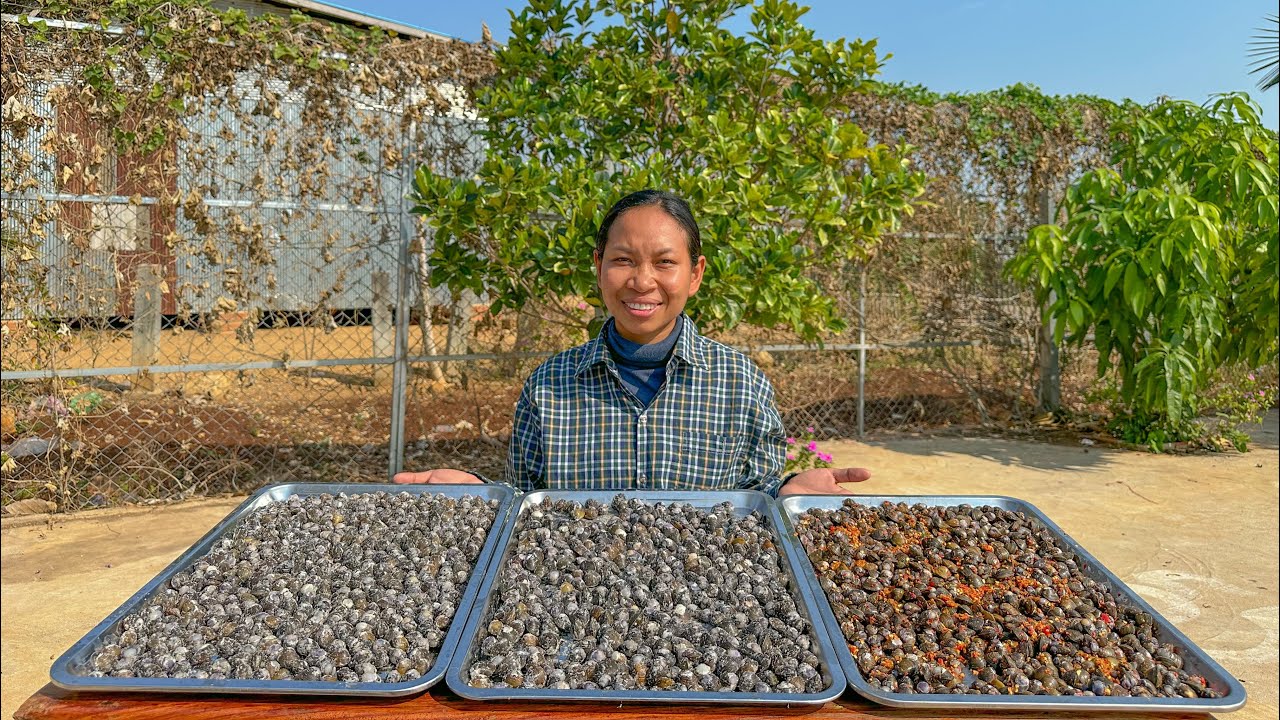 ថ្ងៃនេះធ្វើលៀសហាលហូបម្តង ឆម ស្រីផាច - Chhom Sreypach