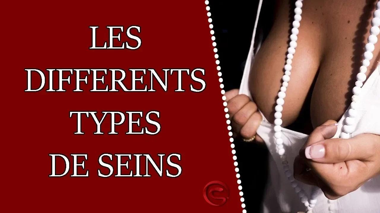 Les diff&eacute;rentes tailles et formes de seins (poitrines)