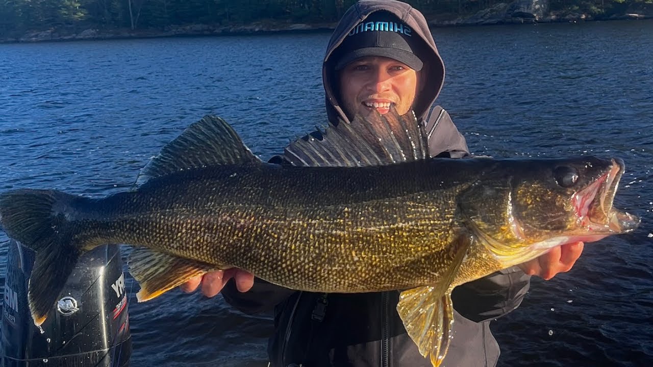 New Z-Man Graph ShadZ Crushes Monster Walleyes