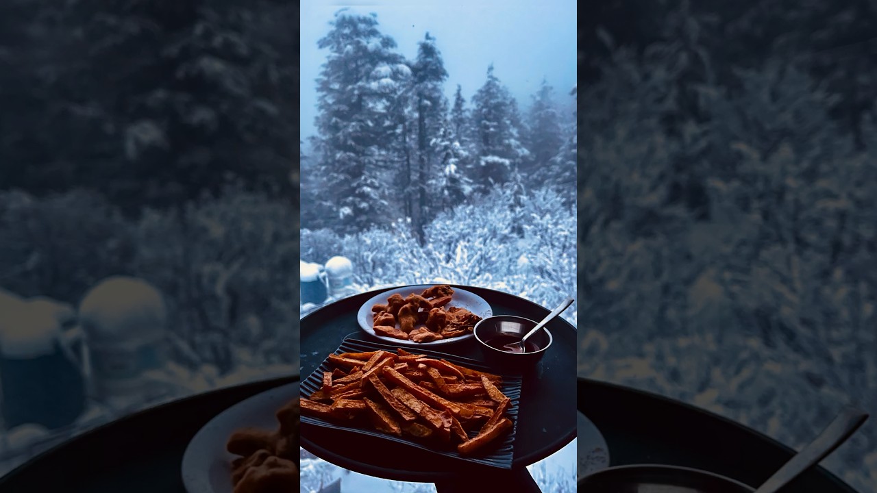 Where to stay in Kalpa? #kalpa #kinnaur #hostel #snowfall #freshsnow #accommodation #hotelreview