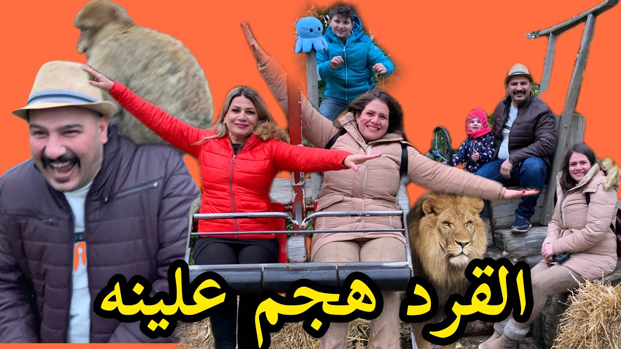 القرد 🐒 هجم علينه بحديقة الحيوانات | نور و سنان | Noor Sinan Family