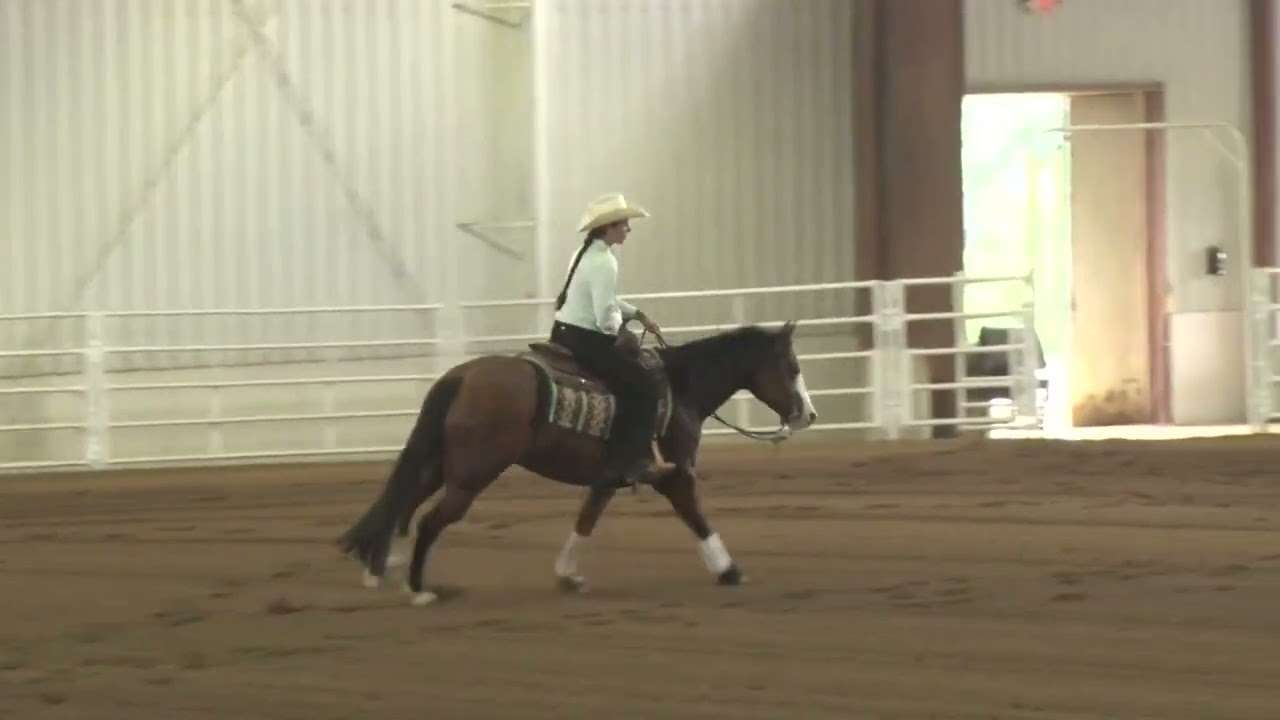 240721 Green Whitney Gideon on Whiz Be A Mobster