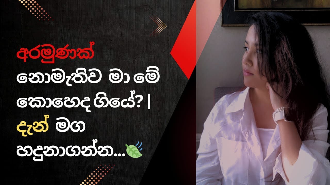 ජීවිතයේ සැබෑ අරමුණ සෙවීමෙ ගමන🍃 #2