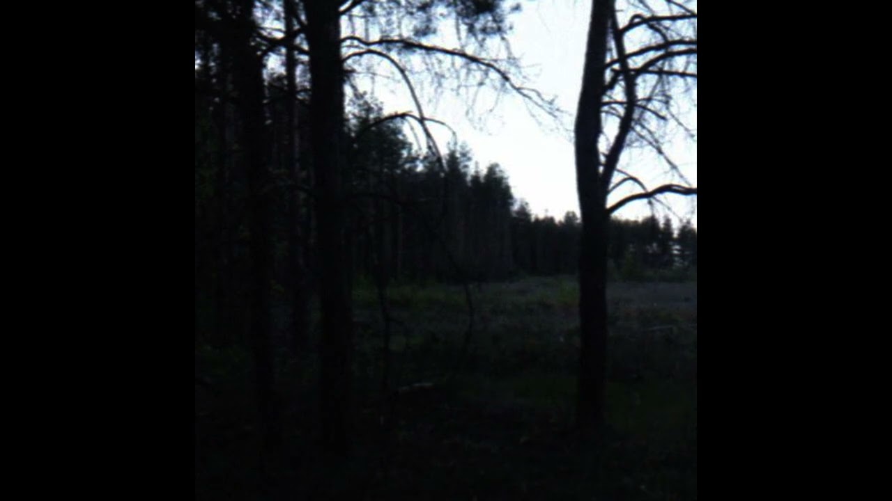(FREE FOR PROFIT) EMOTIONAL DARK AMBIENT TYPE BEAT - 