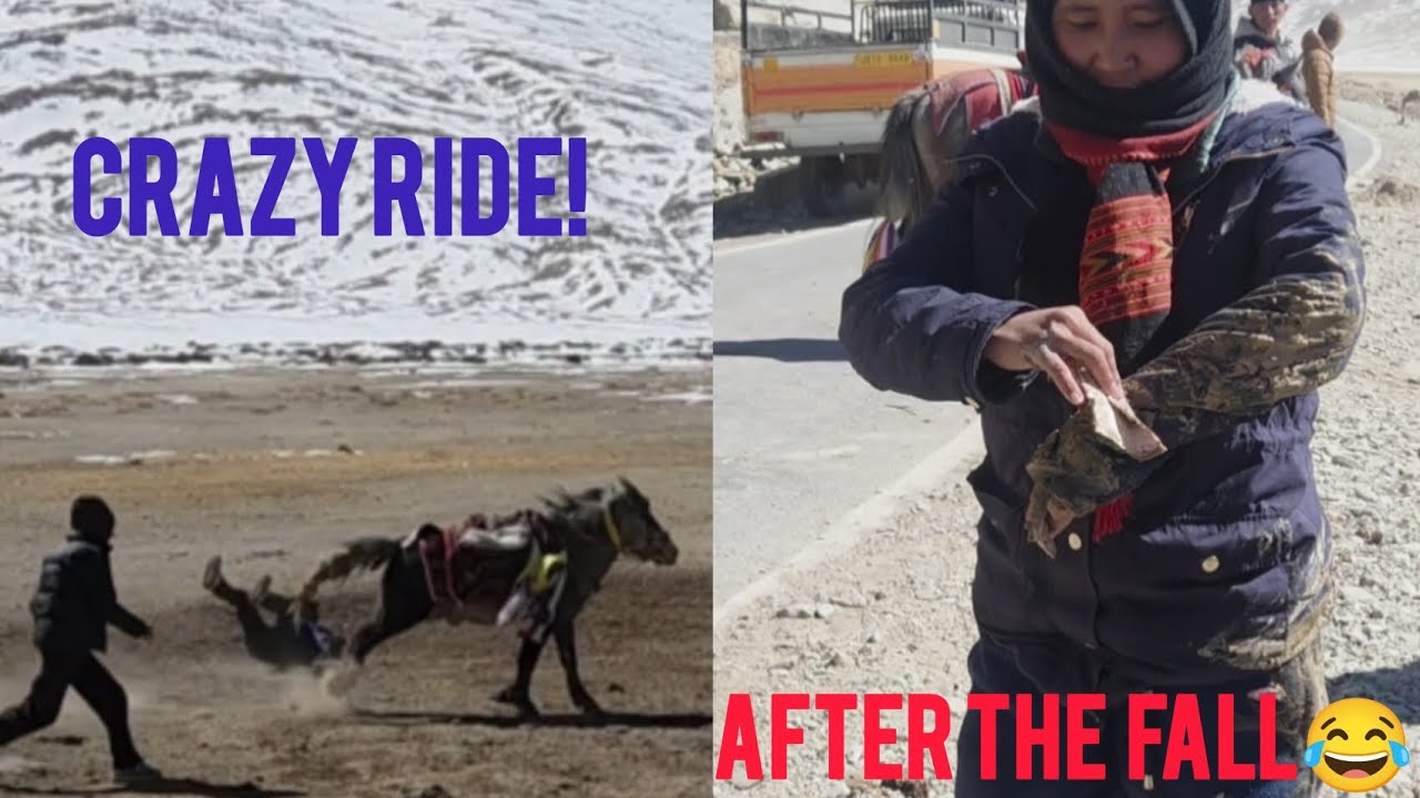 Horse Racing at Jangthang Sumdho #tibetanvlogger #nomadicgirl #funny #viral 