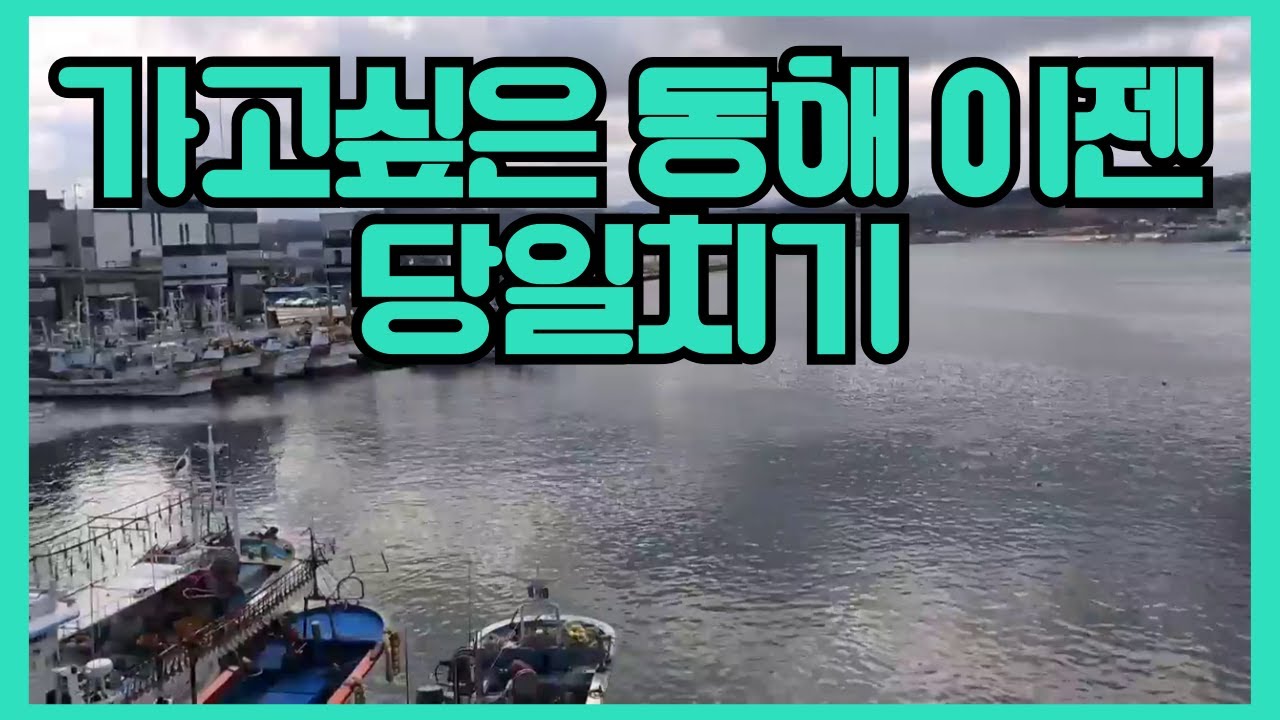 철도 완전 계통으로 가까워진 동해여행#동해선중심울진죽변항 #16년만에개통당일치기여행