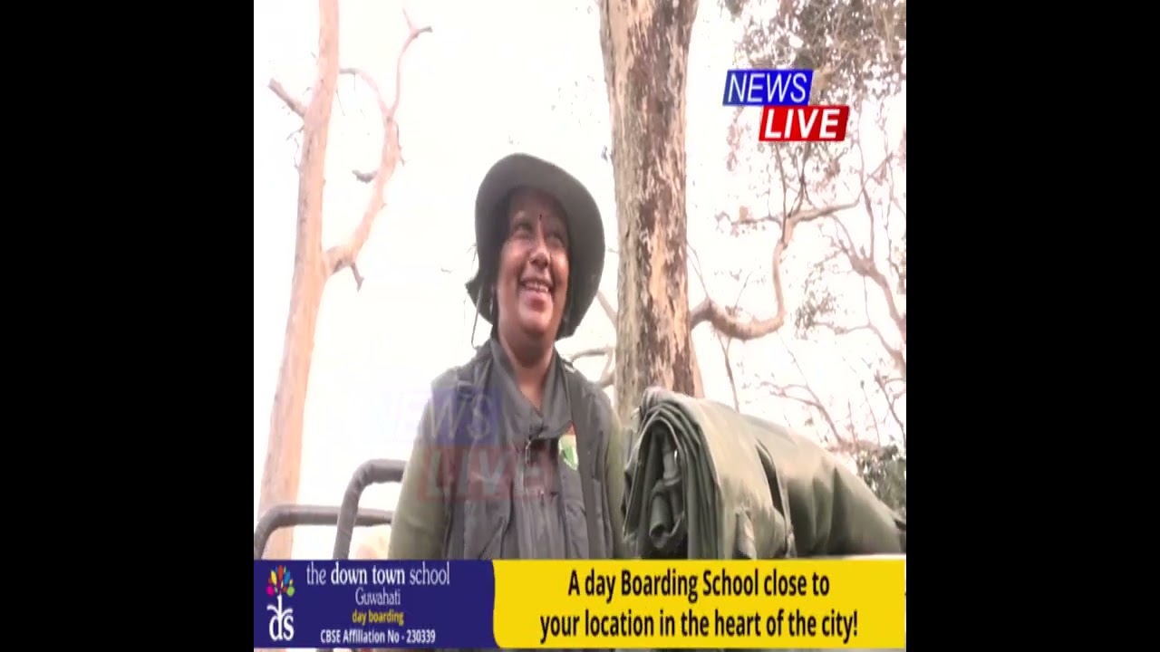 আজিৰে পৰা মুকলি কাজিৰঙা ৰাষ্ট্ৰীয় উদ্যান পৰ্যটনৰ অন্যতম সংযোজন পাণবাৰী সংৰক্ষিত বনাঞ্চল