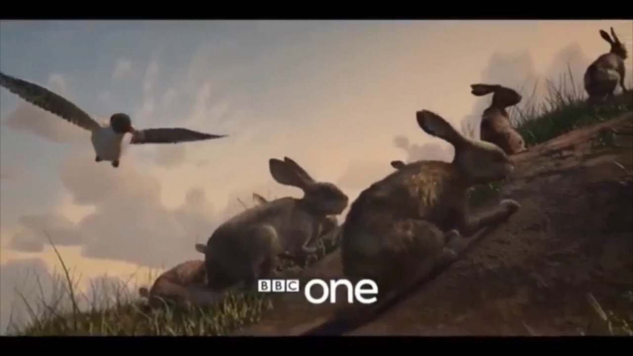 FIRE ON FIRE Watership Down tribute