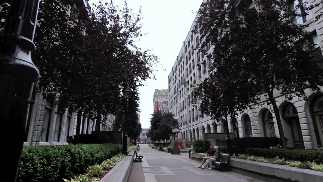 Solano Old Montreal Condo | McGill Real Estate