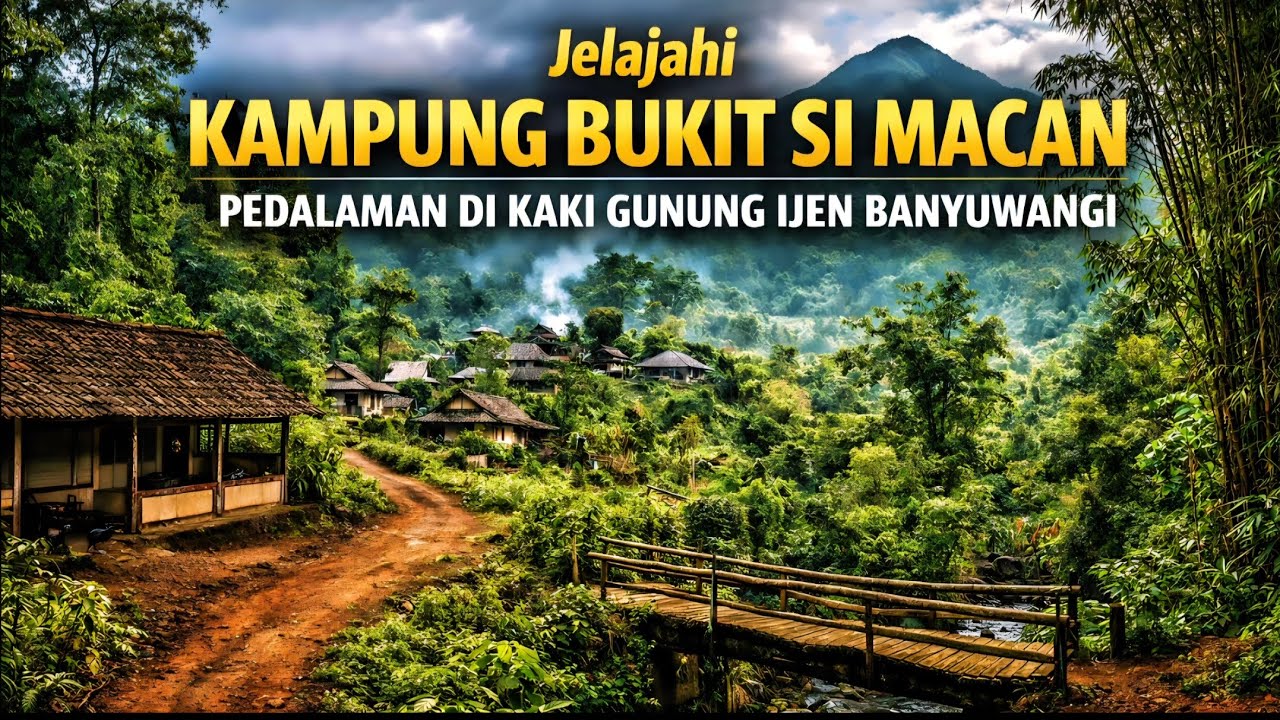 Menjelajahi Kampung Bukit Si Macan I Kampung Pedalaman Lereng Gunung Ijen Banyuwangi