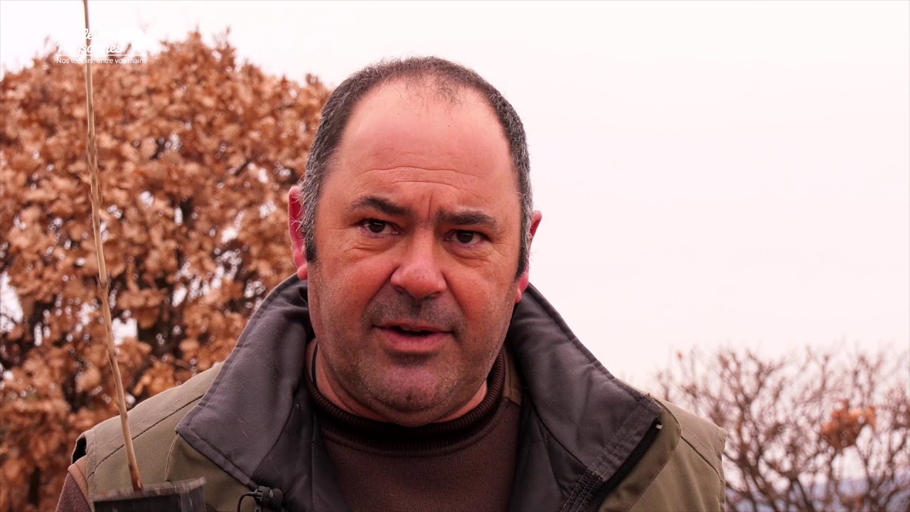 La récolte des truffes noires chez la famille Barbe